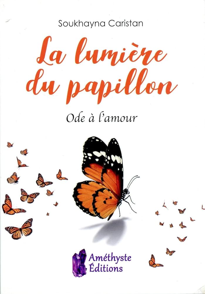 Couverture la lumière du papillon